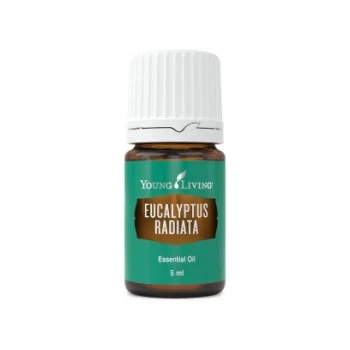 Olejek eteryczny EUKALIPTUS RADIATA - Young Living - 5 ml