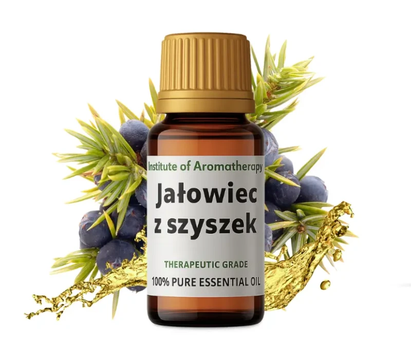 miniaturka ODDECH 1.webp