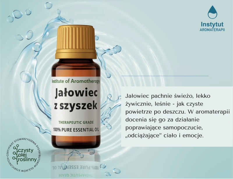 jałowiec1.webp