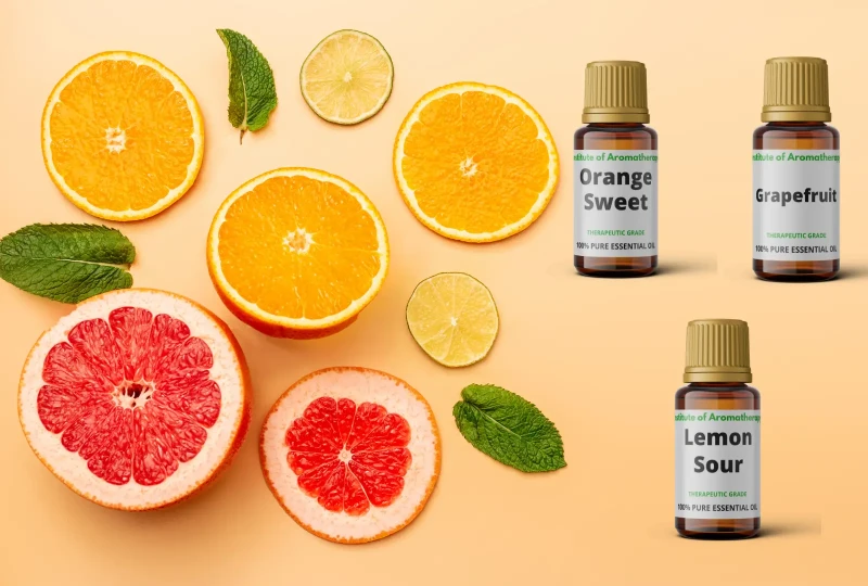 MOC CYTRUSÓW 3.webp