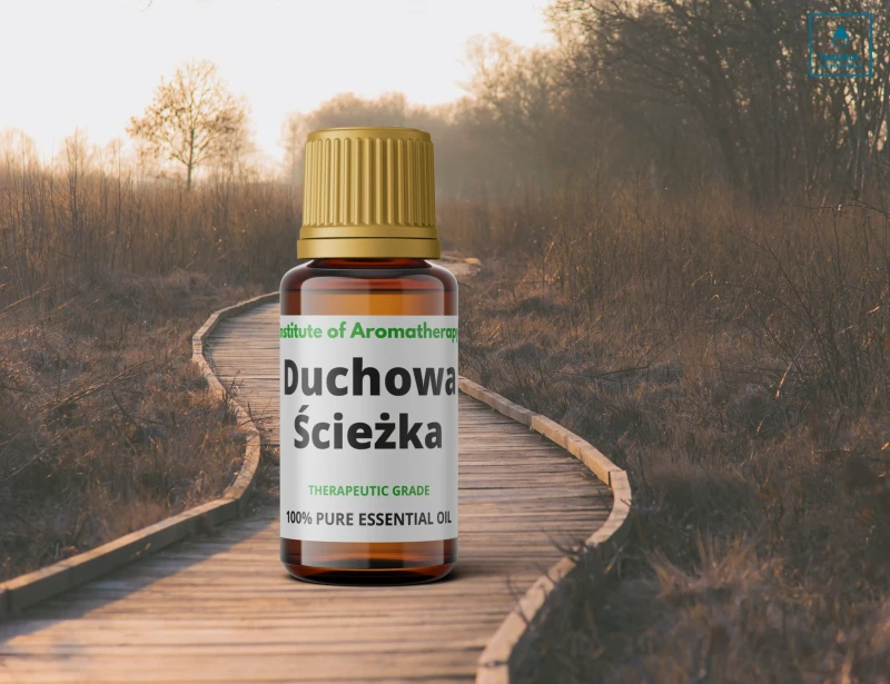 ŚCIEZKA2.webp