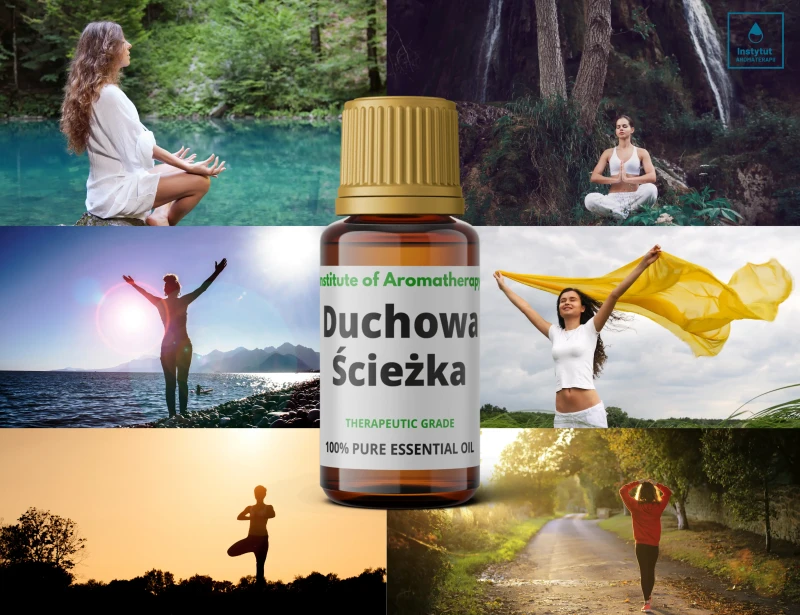 ŚCIEŻKA5.webp