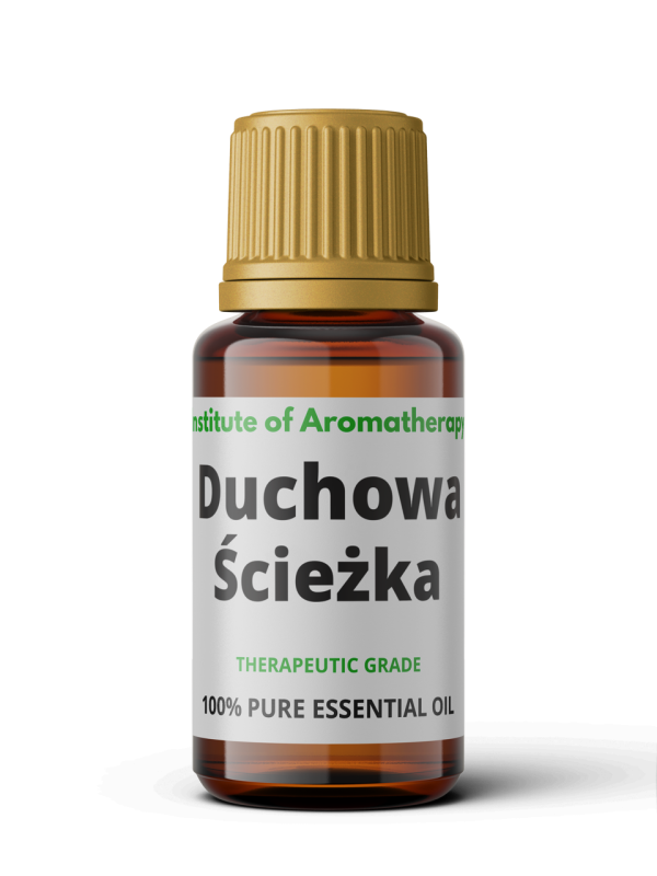 Duchowa Ścieżka.png