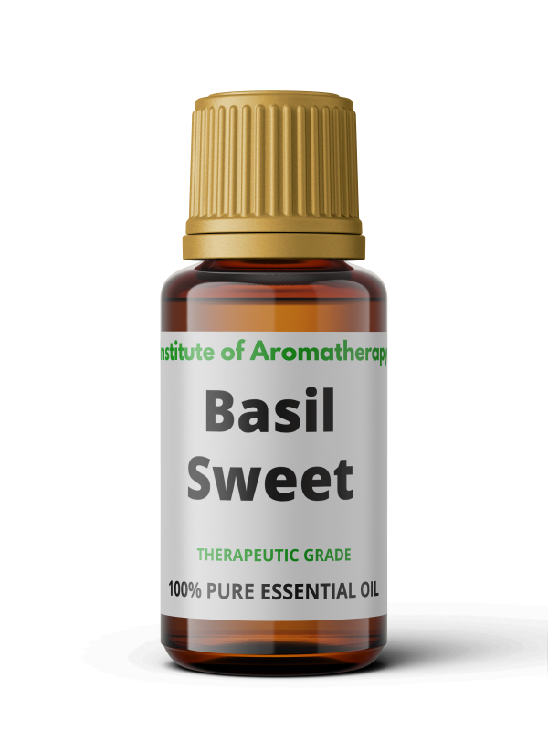basil-sweet-1.png