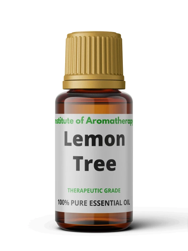 lemon-tree-1.webp