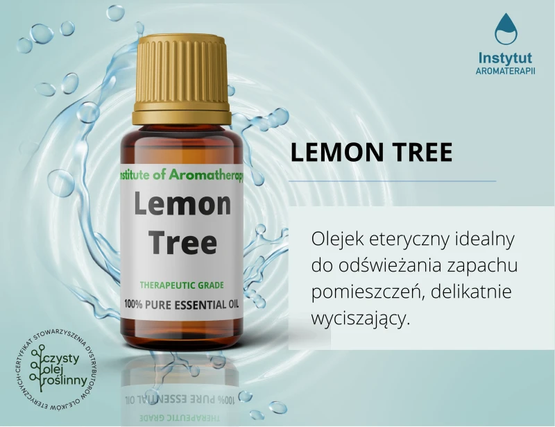 reklama_lemon_tree.webp