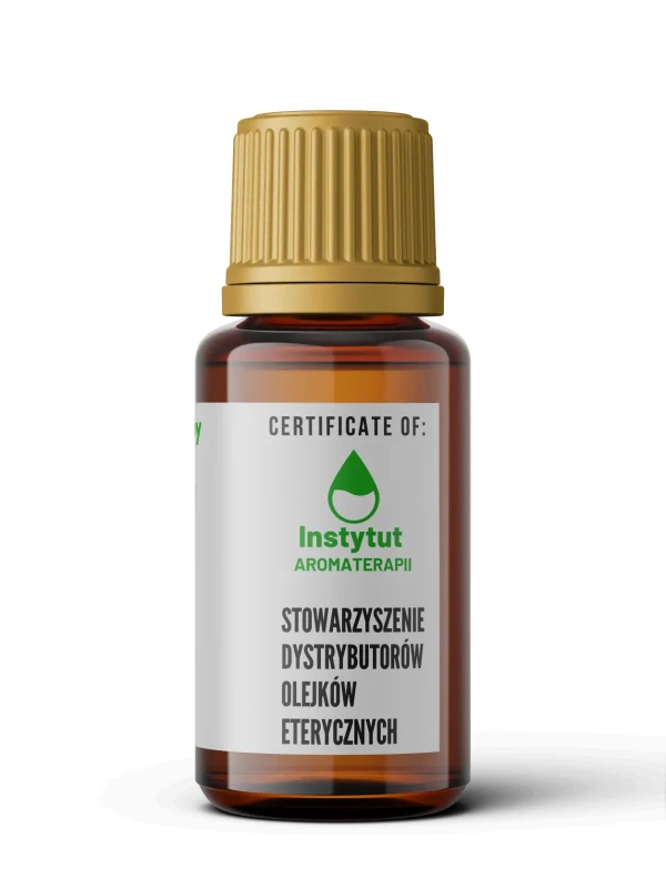 BOK-1bis — kopia.webp