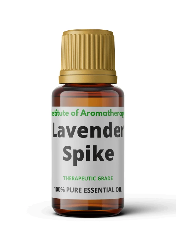 lavender-spike-1.webp