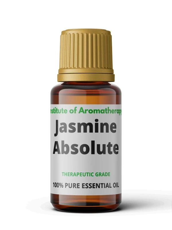 jasmine absolute-1.webp