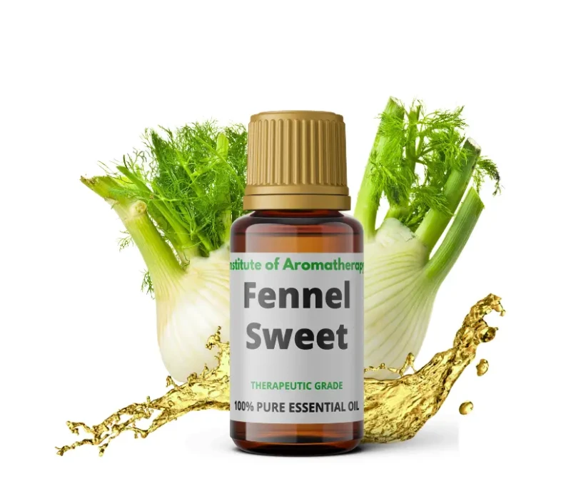 fennel.webp