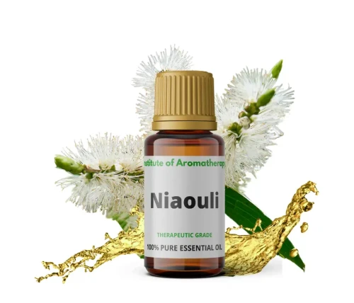 Olejek eteryczny NIAOULI - przeciwbólowy 