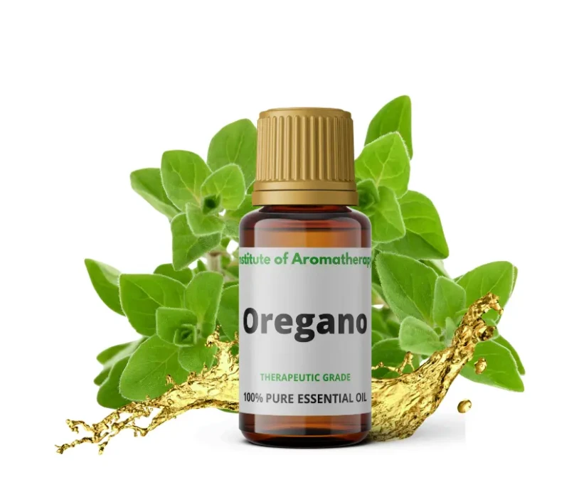 oregano (2).webp