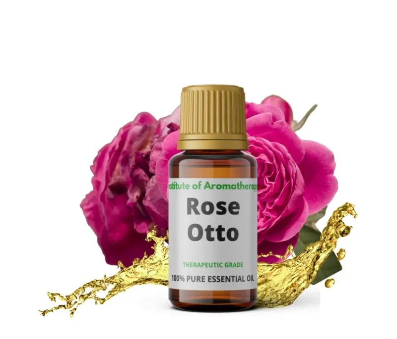 rose.webp