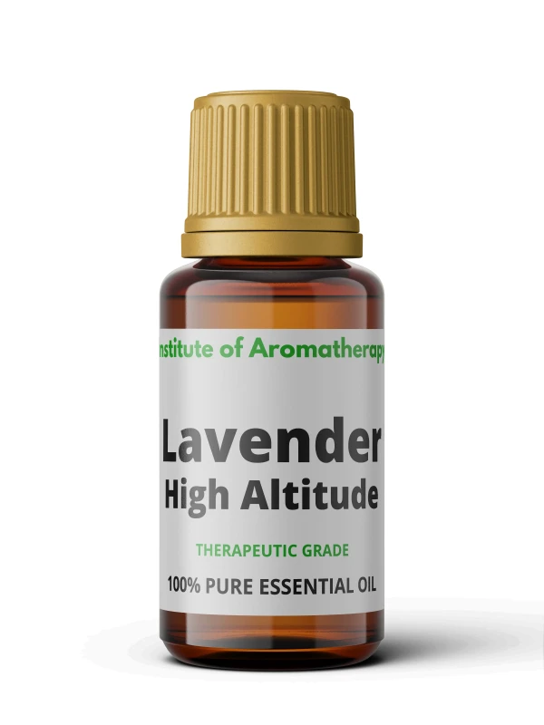 lavender high-1.webp