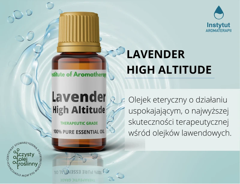 reklama_LAWENDA WYSOKOGÓRSKA.webp