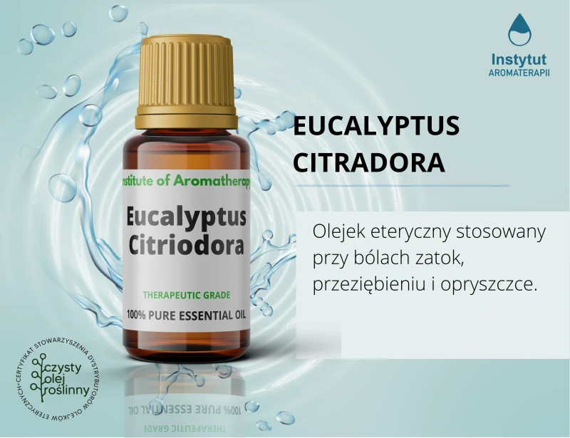 _reklama_EUKALIPTUS-CYTRYNOWY.webp
