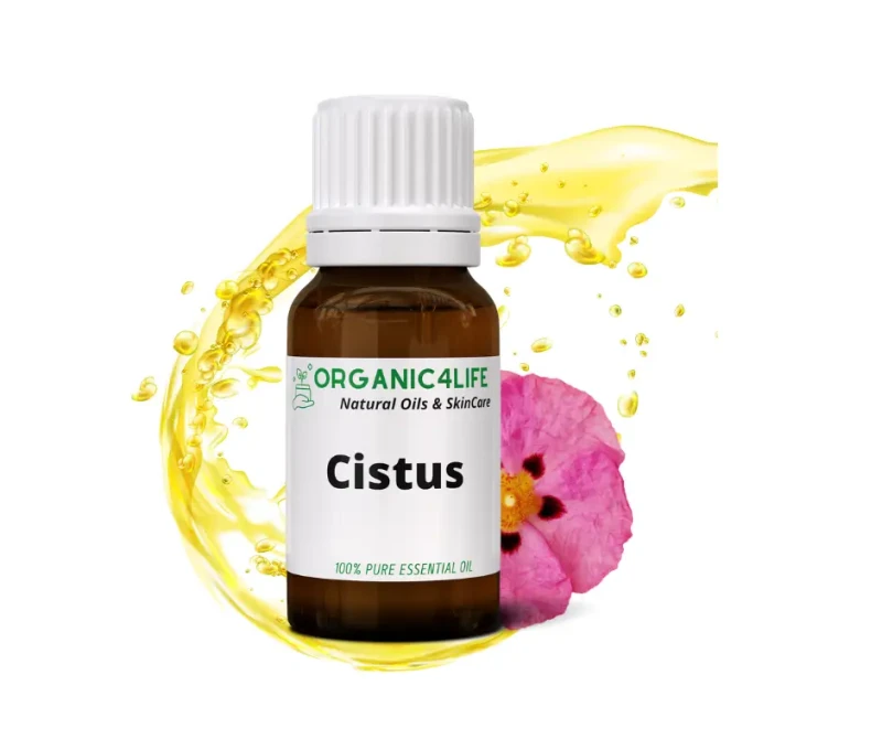 cistus.webp