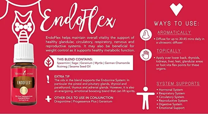 endoflex.webp