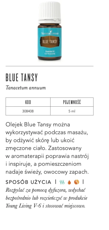 blue tansy4.webp