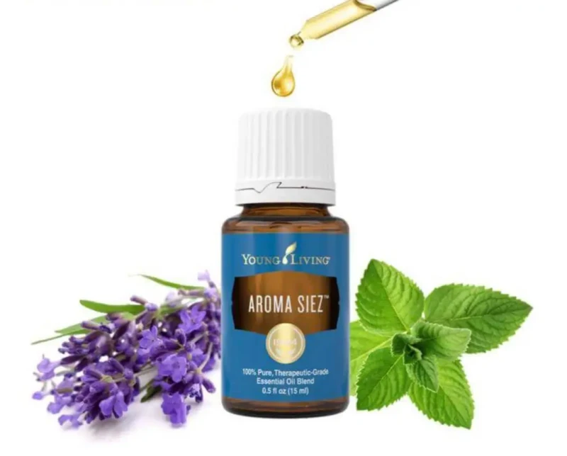 aroma_siez3.webp