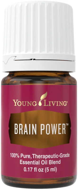 brain power.webp