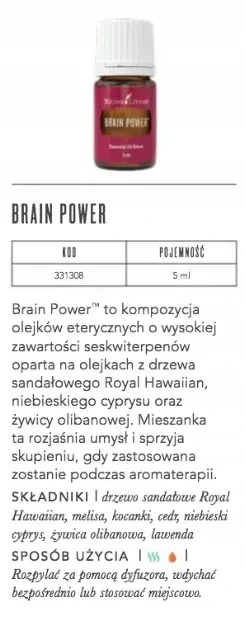 brain power2.webp