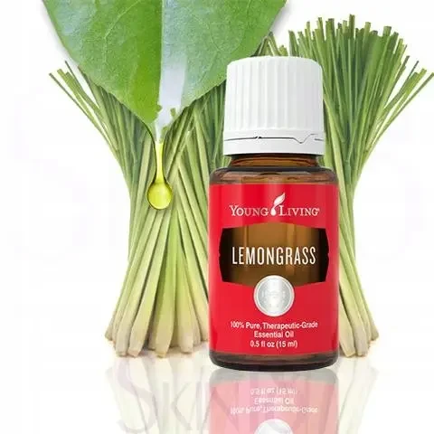 lemongras3.webp