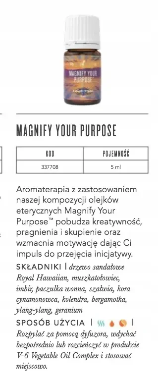 magnify opis.webp