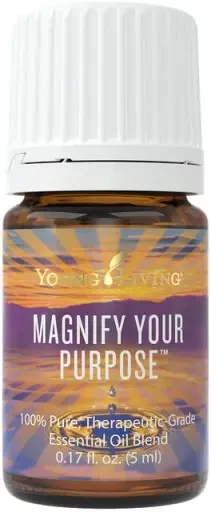 magnify your purpose.webp