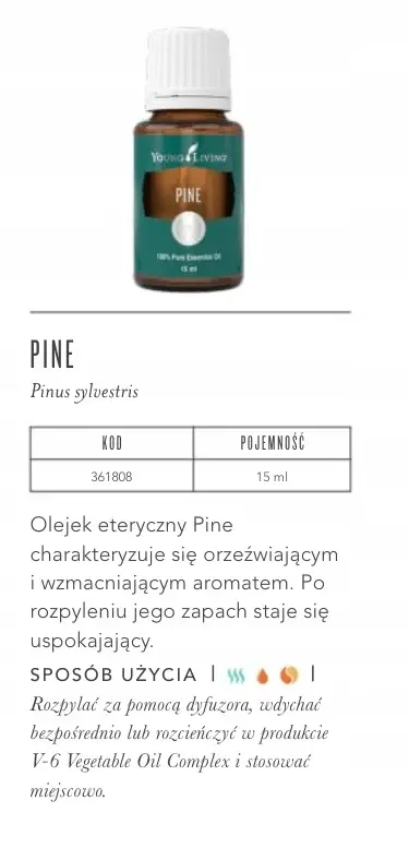 pine 2.webp